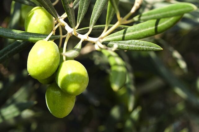 the benefits of eating olives on a ketogenic diet